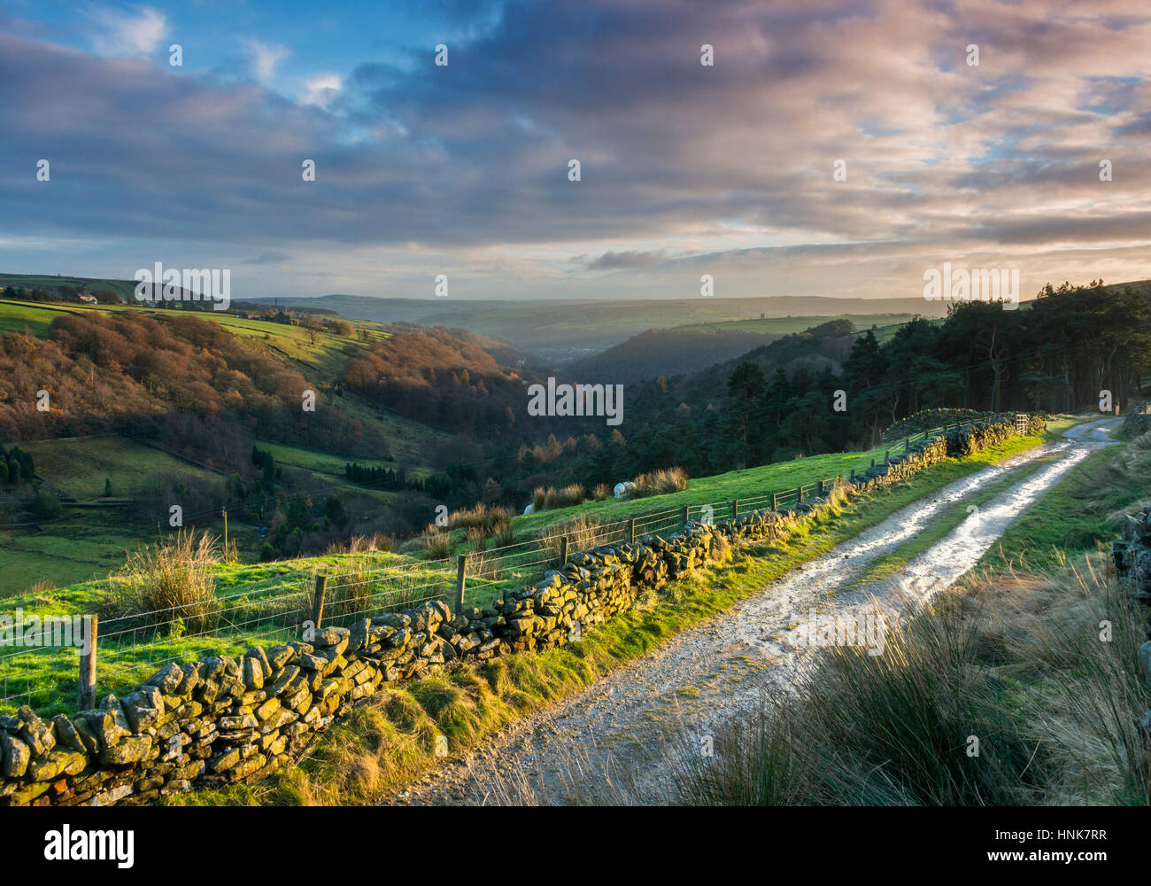evening sunlight on yorkshire valley Stock Photo