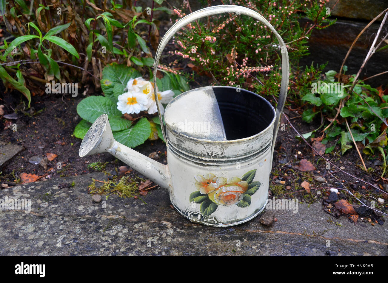 A small ornate metal garden  watering can sits infront of a garden bed of primroses and other plants. Stock Photo