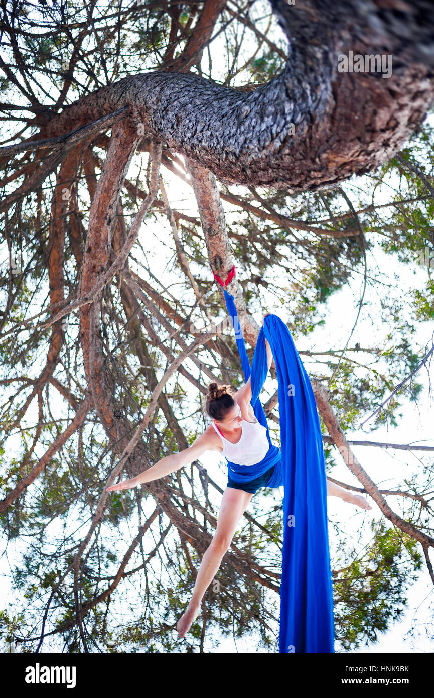 Aerial silks hanging from a tree Stock Photo