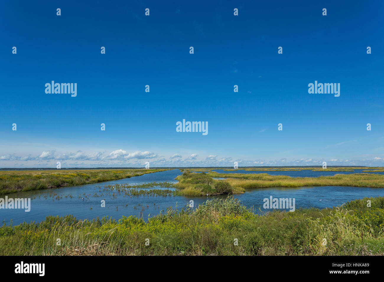 Edwin B. Forsythe National Wildlife Refuge as seen from a Wildlife