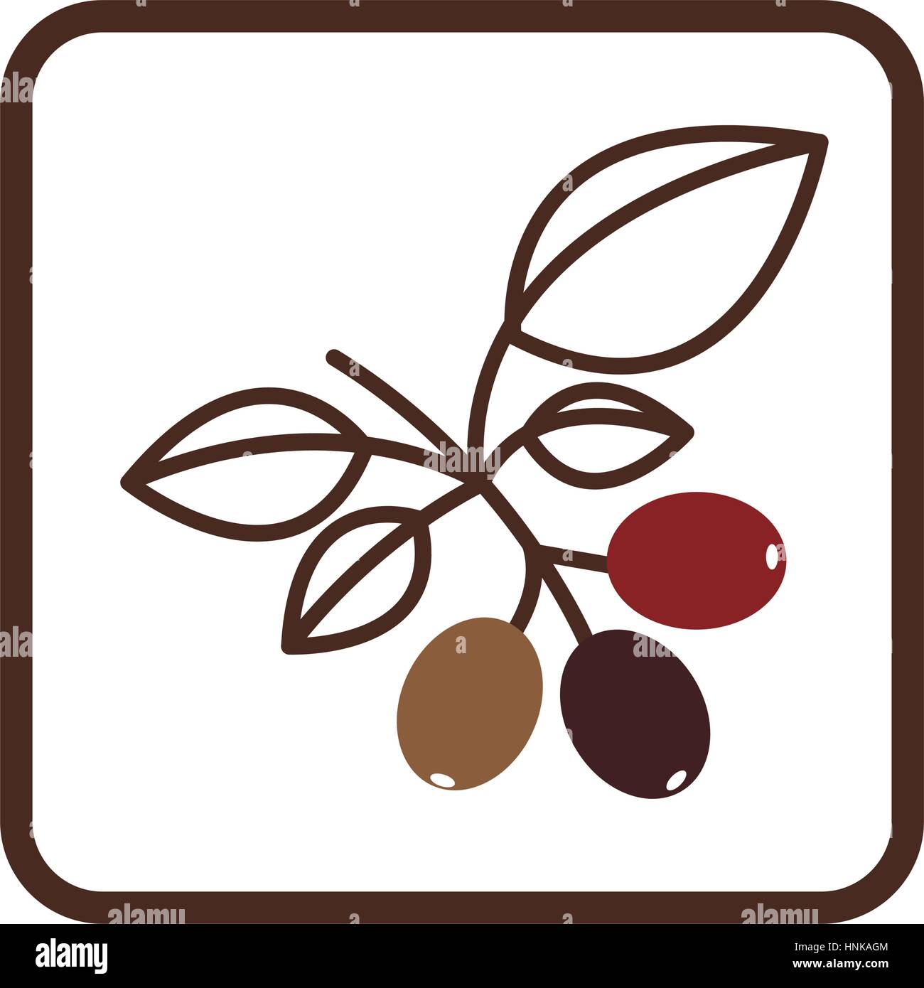 Coffee tree icon image design hi-res stock photography and images - Alamy