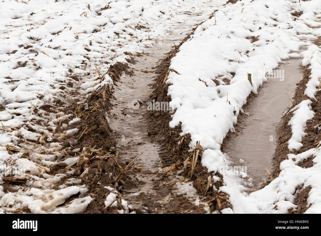 traces of the car on snow Stock Photo - Alamy