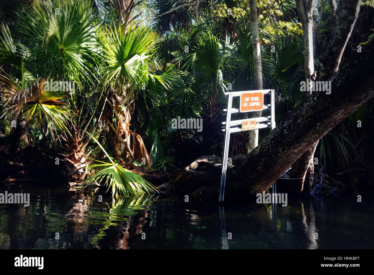 attention sign in Wekiwa Springs, Florida State Parks, Orlando, Florida, USA Stock Photo