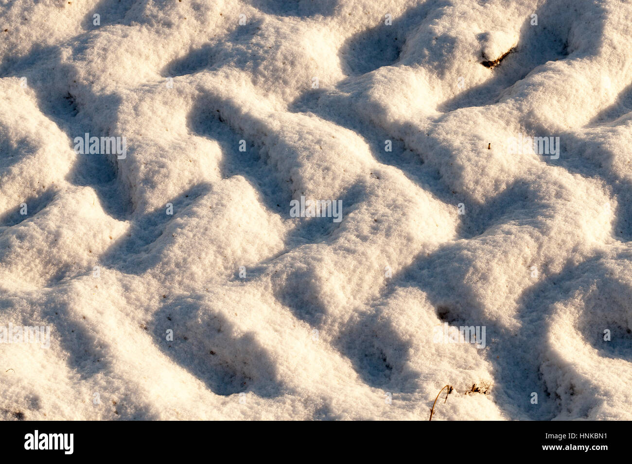 traces of the car on snow Stock Photo - Alamy
