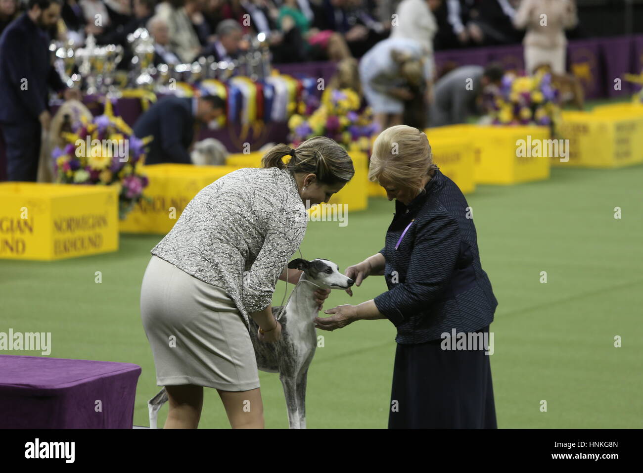 Westminster dog show handlers hires stock photography and images Alamy