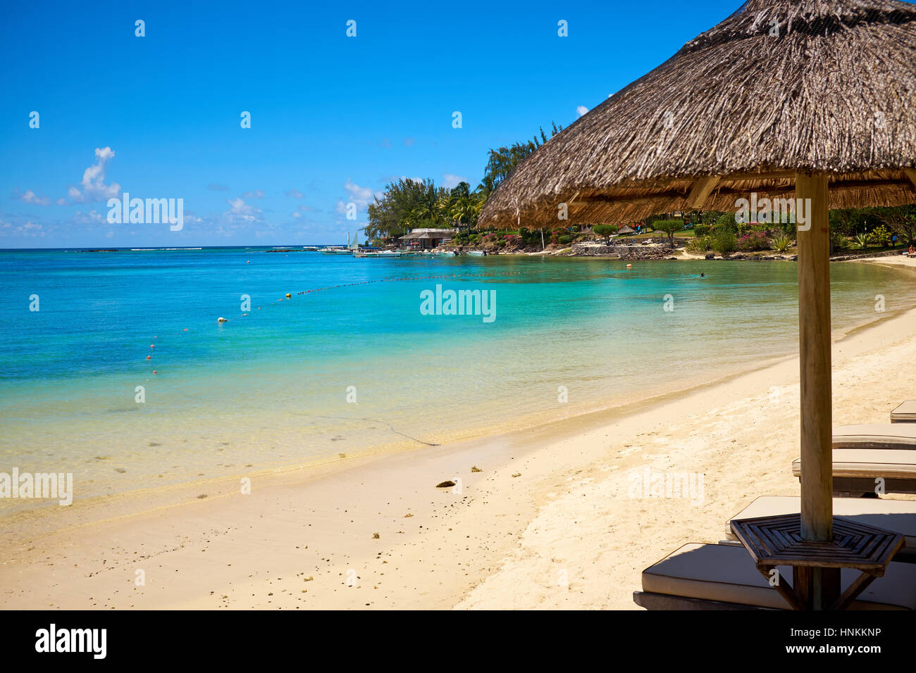 White sand beach with lounge chairs and umbrellas in Mauritius I Stock Photo
