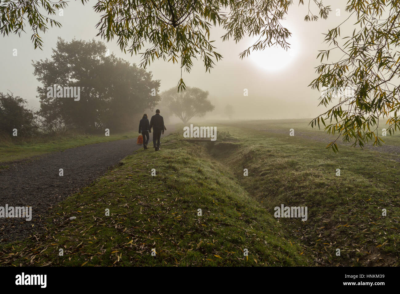 Taken on an autumn foggy morning with beautiful muted greens of the grass and trees. Stock Photo