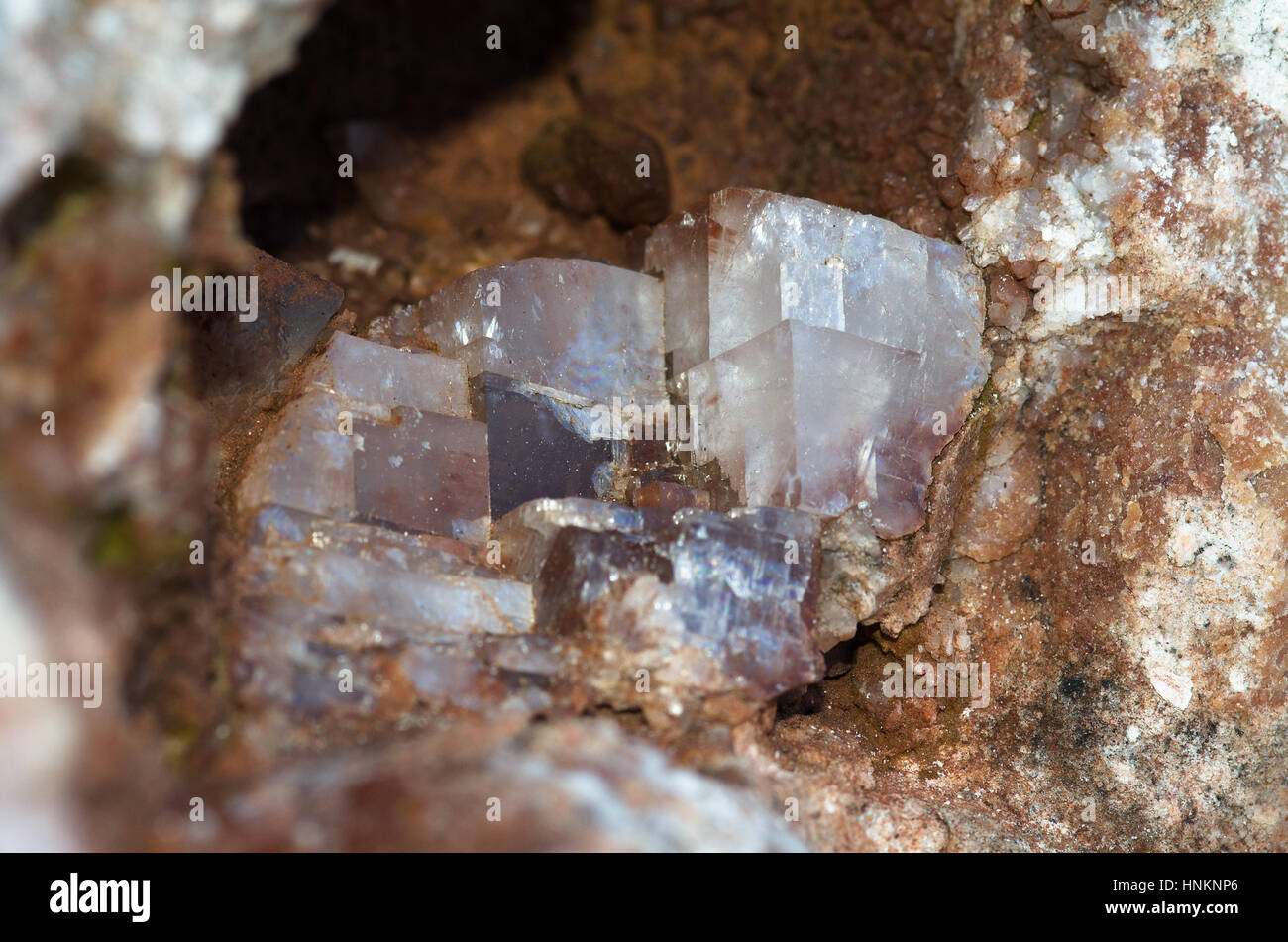 Calcite crystal cubes grown inside a rock cavity exhibiting several cubic fractures. Serra da Arrabida, Portugal. Stock Photo