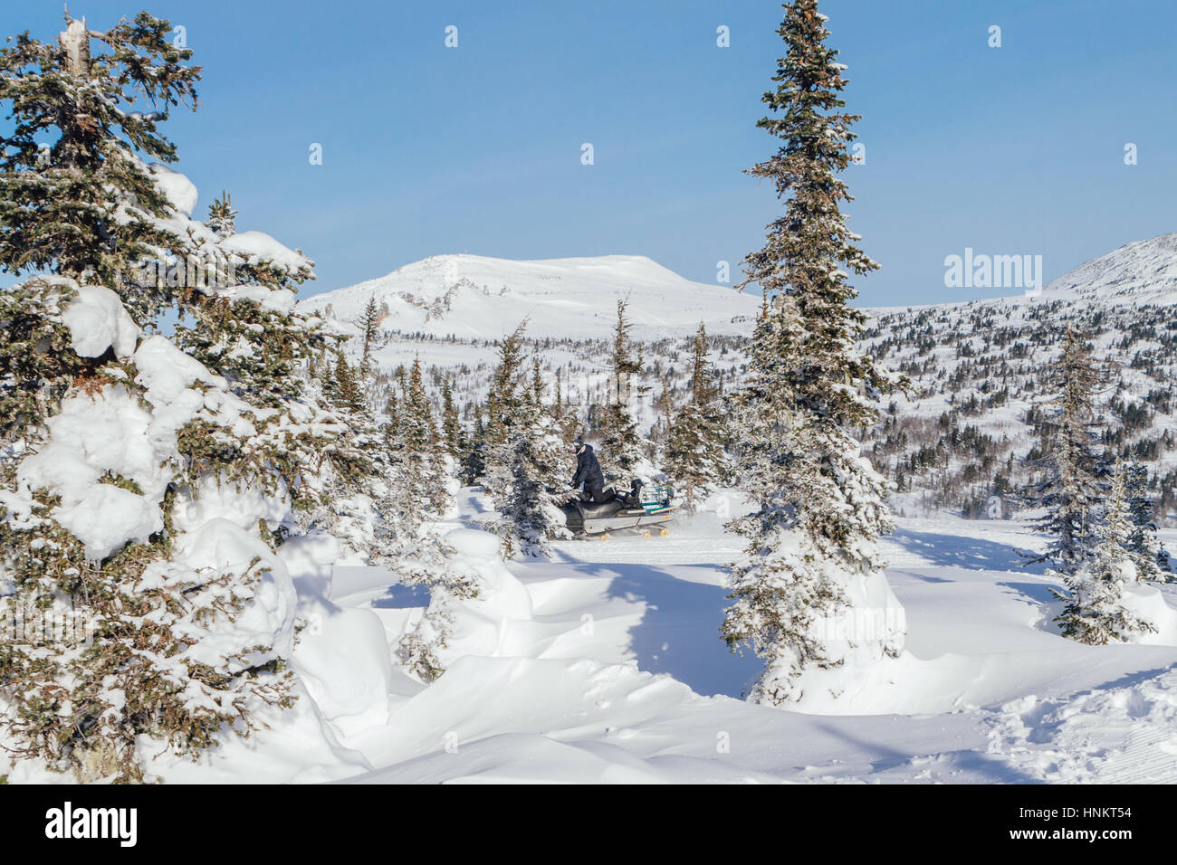 Beautiful winter landscape with snow covered trees Stock Photo - Alamy