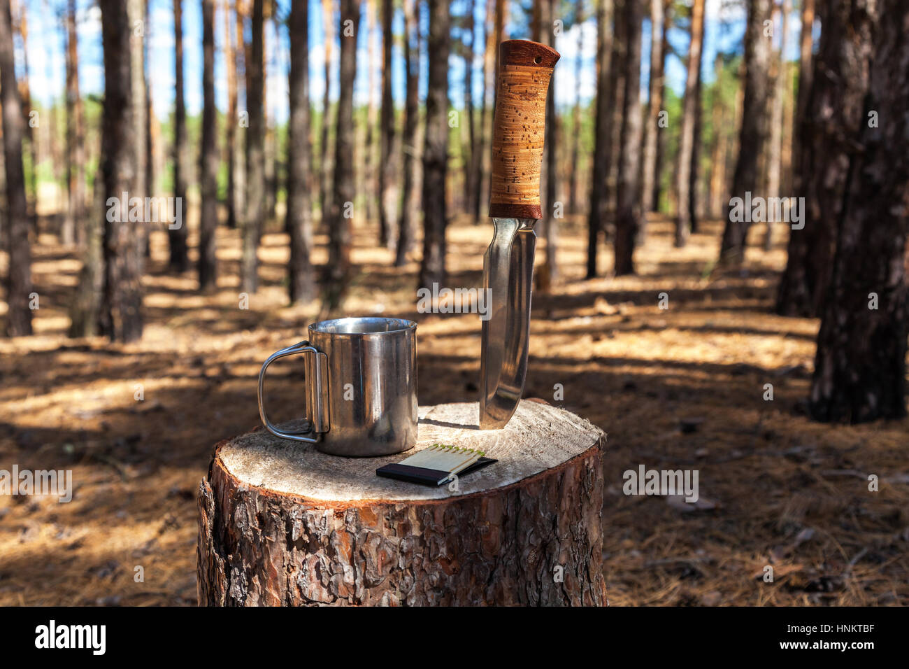 Set a tourist hunter knife mug cartridges gas burner matches Stock Photo