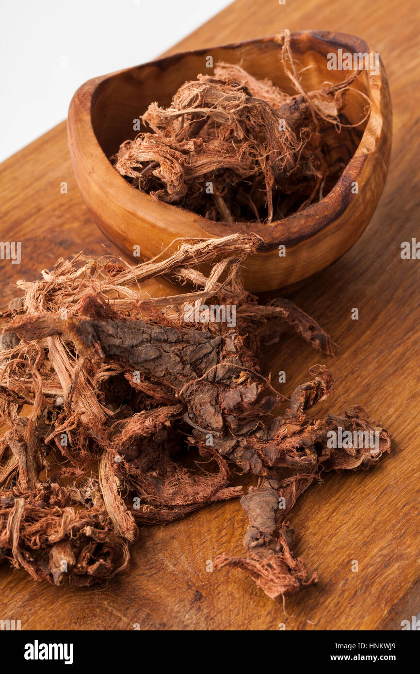 Bear root (Hedysarum neglectum) from Altai , Western Siberia Stock Photo