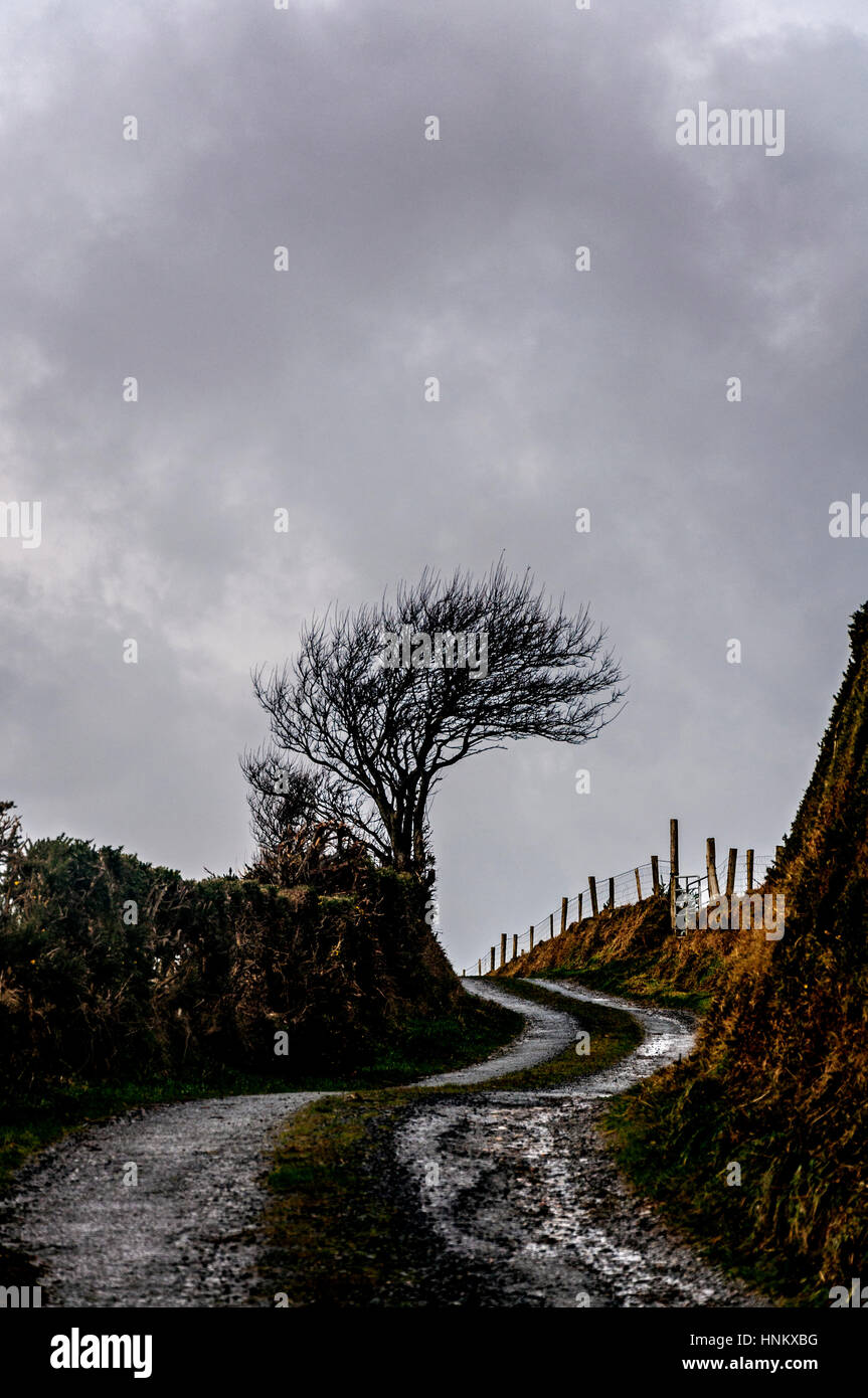 Rural lane fence in storm County Donegal, Ireland Stock Photo Alamy