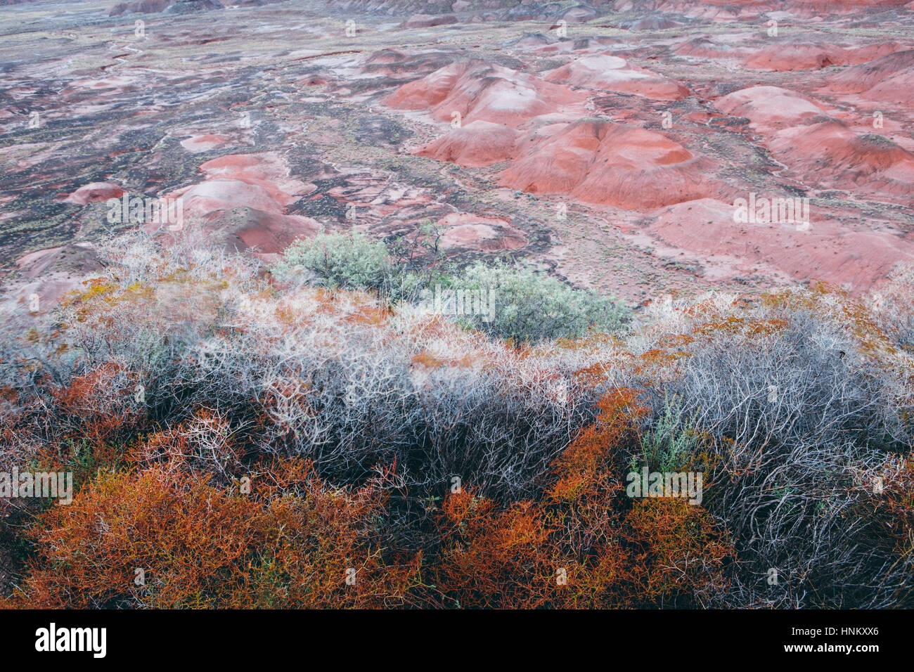 Elevated view of the Painted Desert rock formations in the Petrified Forest National Park Stock Photo