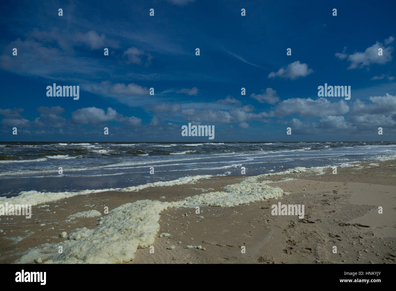 Texel Island,  the Netherlands Stock Photo