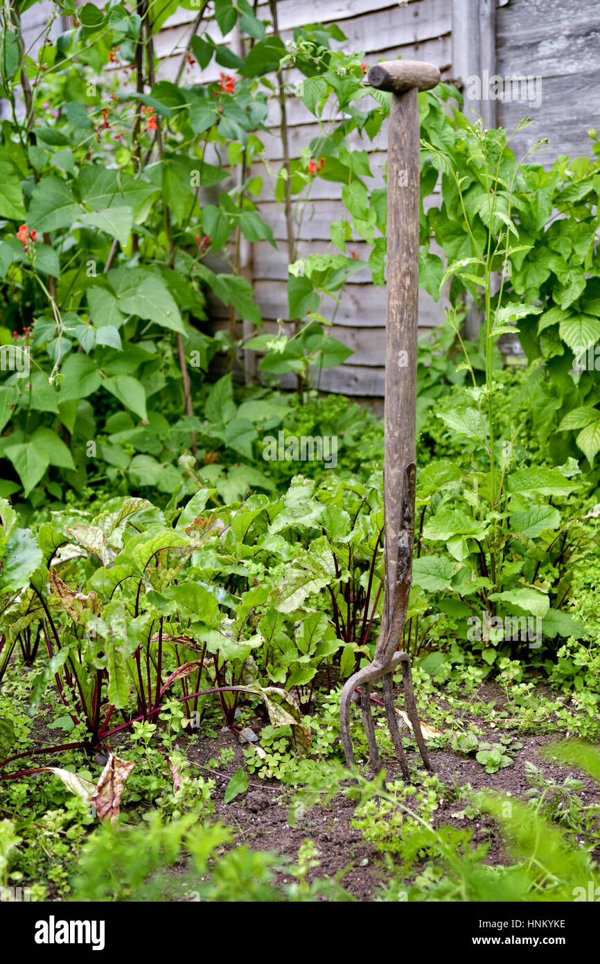 Pronged garden fork hires stock photography and images Alamy