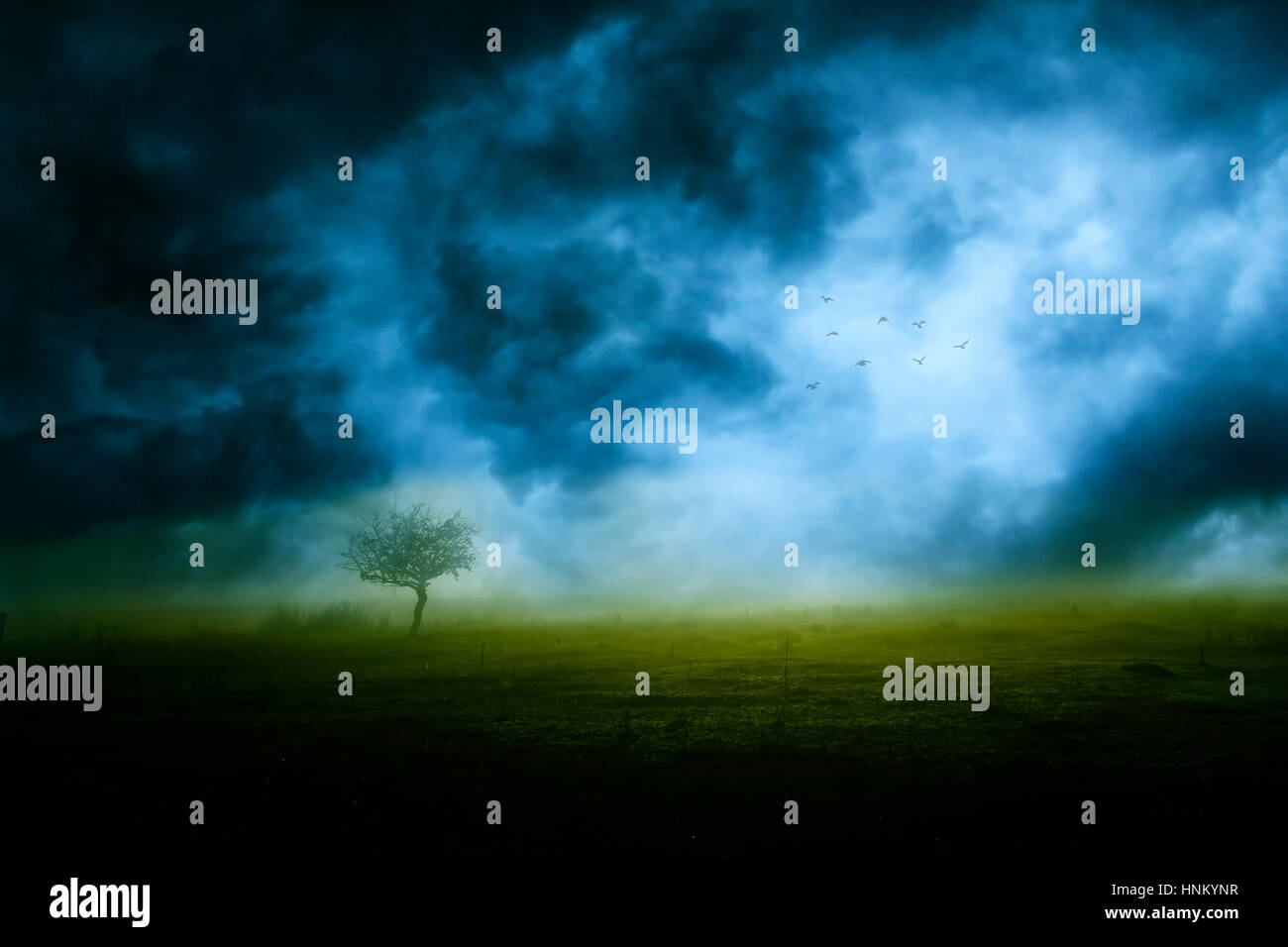 Stormy weather and lonely tree Stock Photo - Alamy