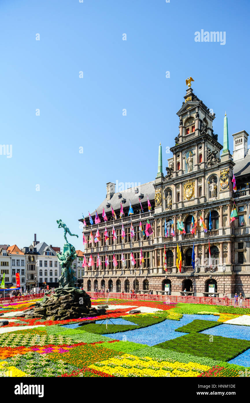 Belgium, Antwerp, flower carpet in front of Antwerp city hall grote markt Stock Photo Alamy
