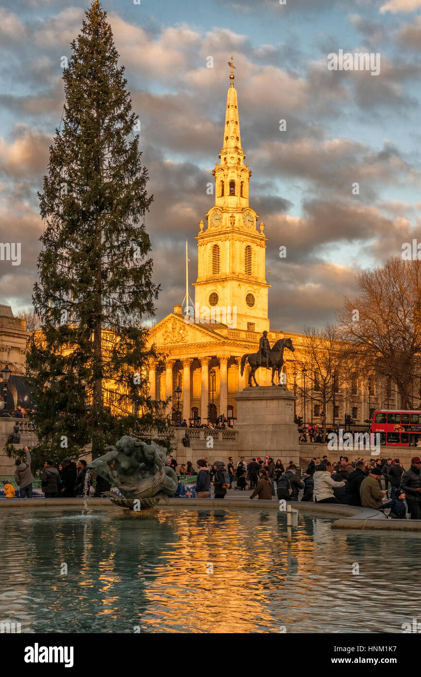 Crowd on Trafalgar Square,Christmas Tree and Saint Marin's in The Field church,London,England Stock Photo