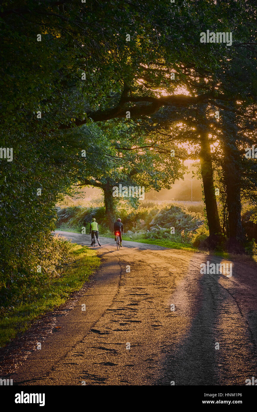Cyclists on a sunny country lane in summer - portrait view Stock Photo
