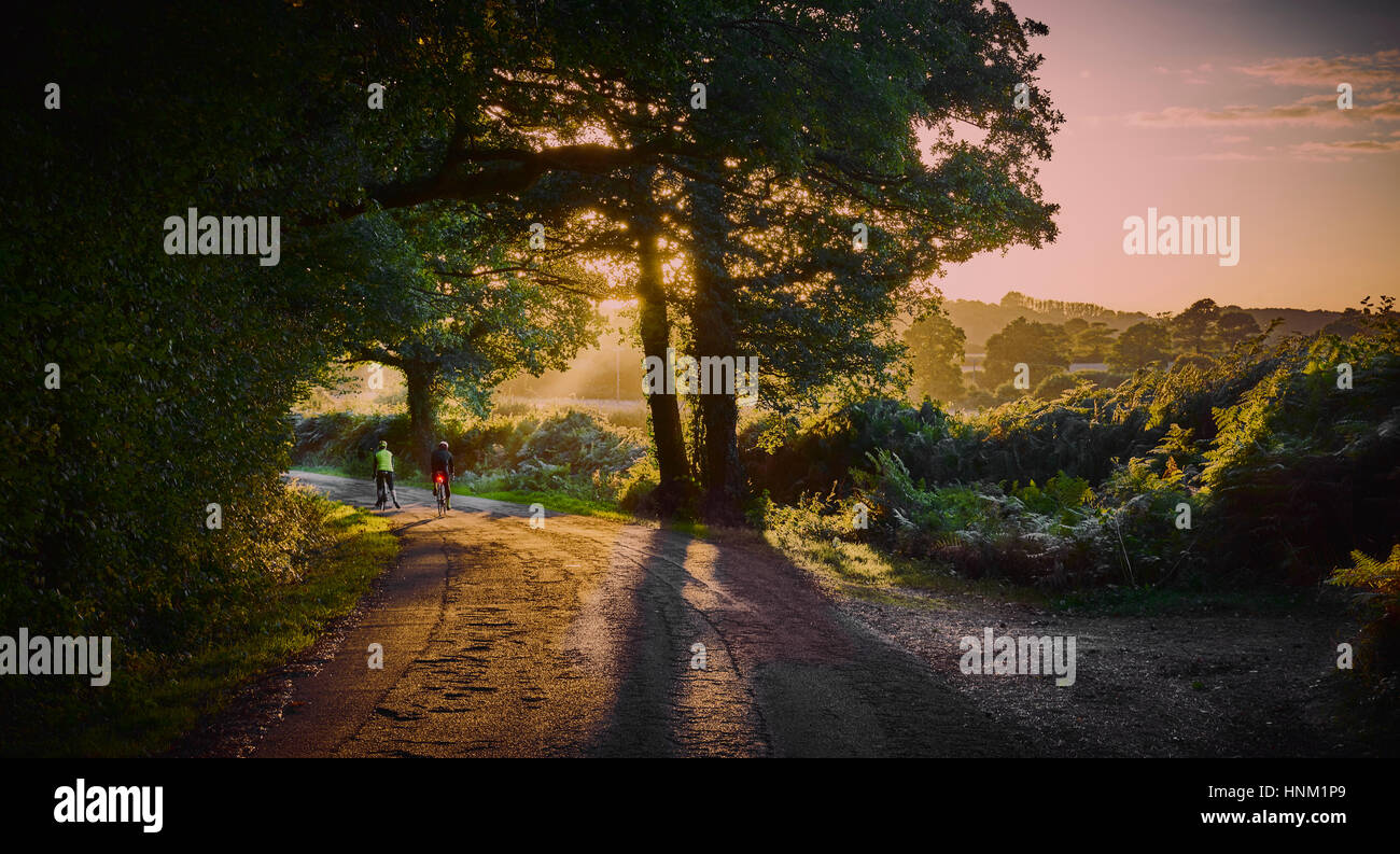 Cyclists on a sunny country lane in summer Stock Photo