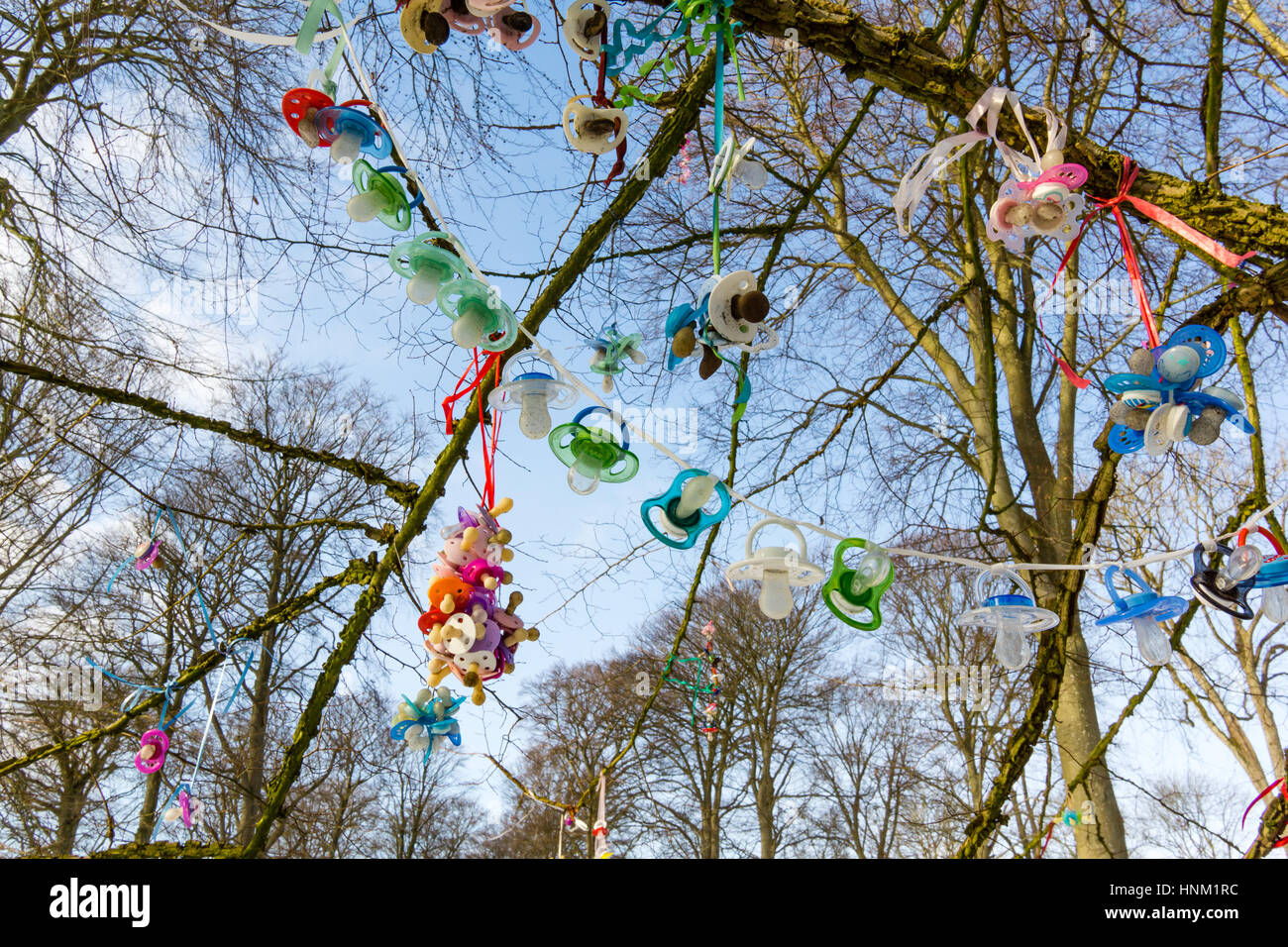 Colourful plastic pacifiers hanging in a tree, when children stop using them. Stock Photo