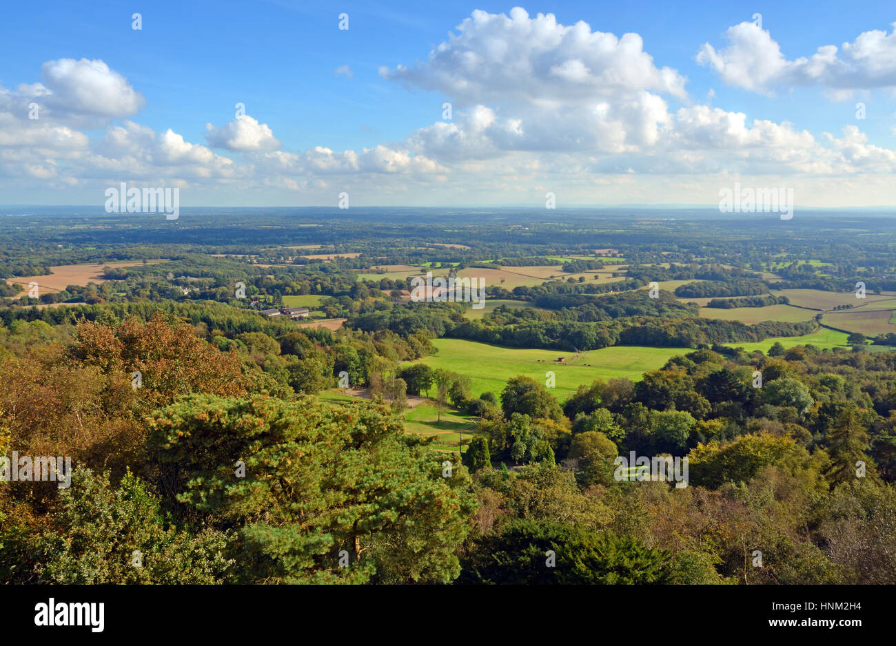 Leith Hill Walk Complete Guide Map The Flamingo Hiker, 40% OFF