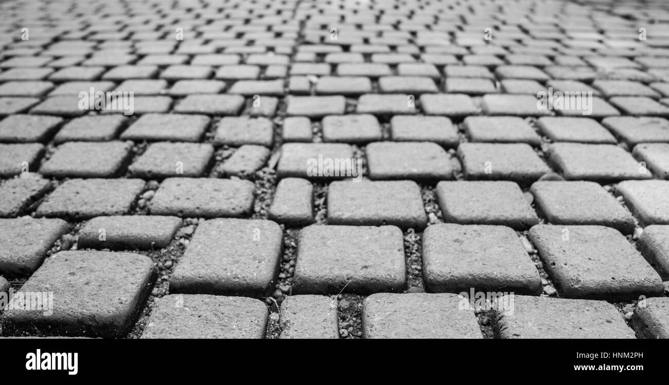 Cobblestone on footpath in black and white tone, selective focus. Stock Photo