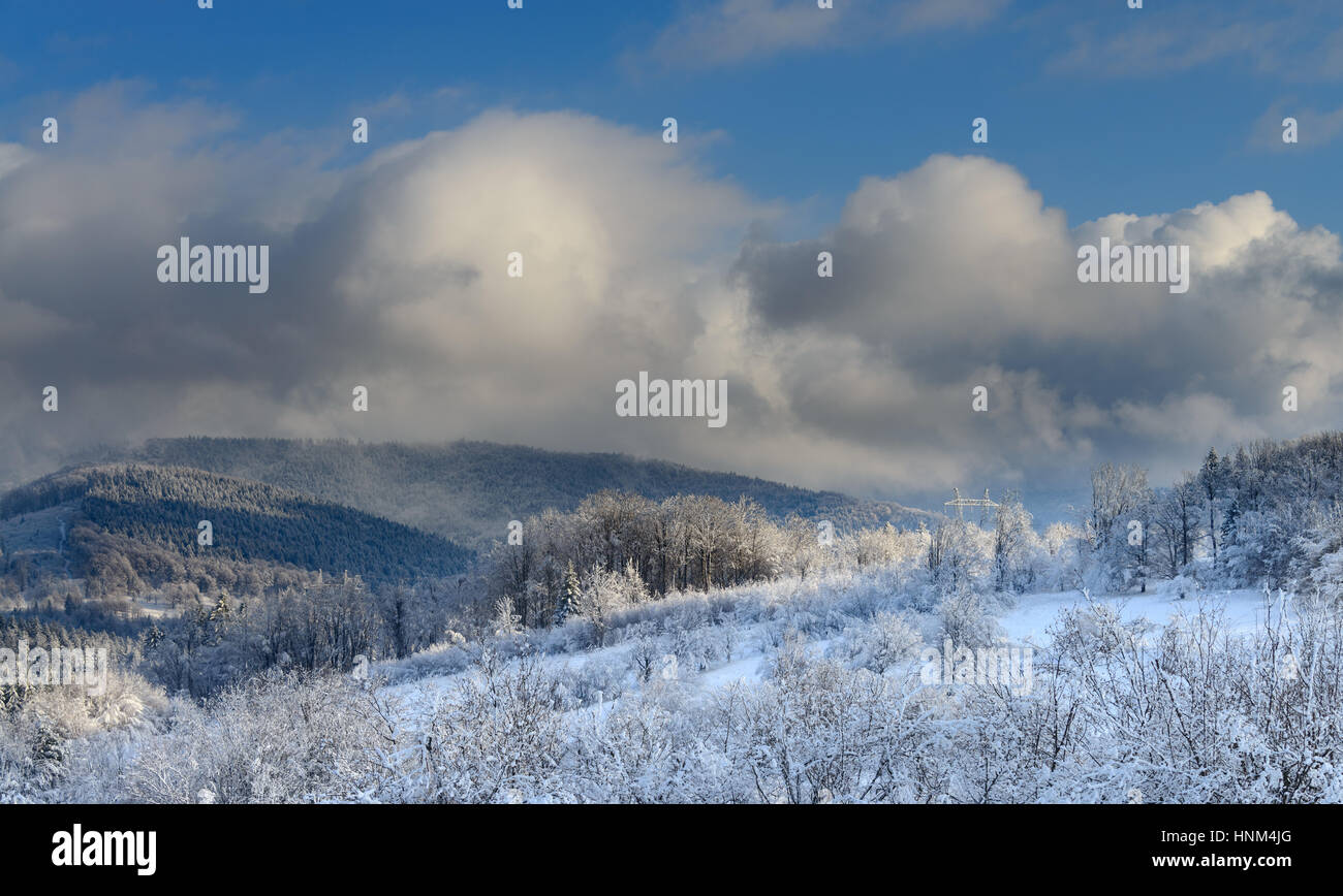 Winter landscape in the Carpathian mountains Stock Photo