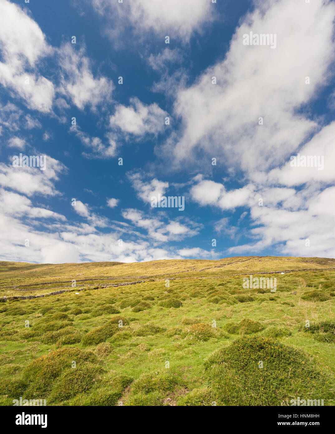 View over the mountains, bog and heathland of the western Dingle Peninsula from the walking path on top of Reenconnell, County Kerry, Ireland Stock Photo