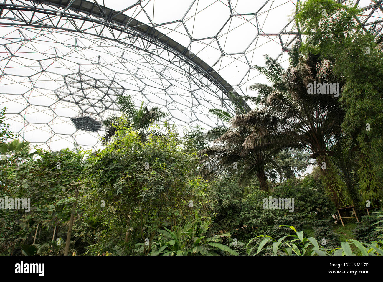 The Rainforest Biome, Eden Project. Stock Photo