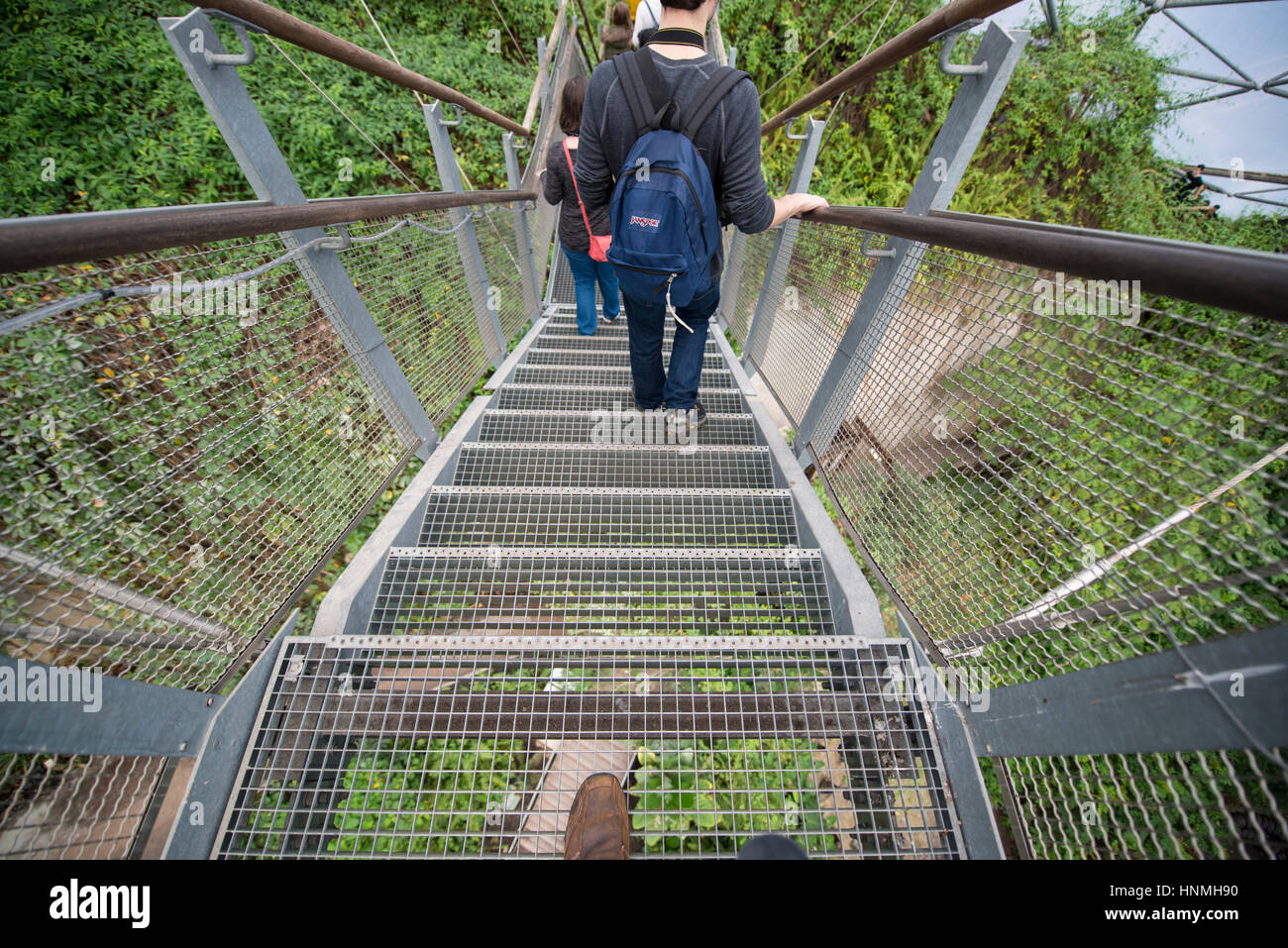 Lookout Platform, Rainforest Biome, Eden Project. Stock Photo