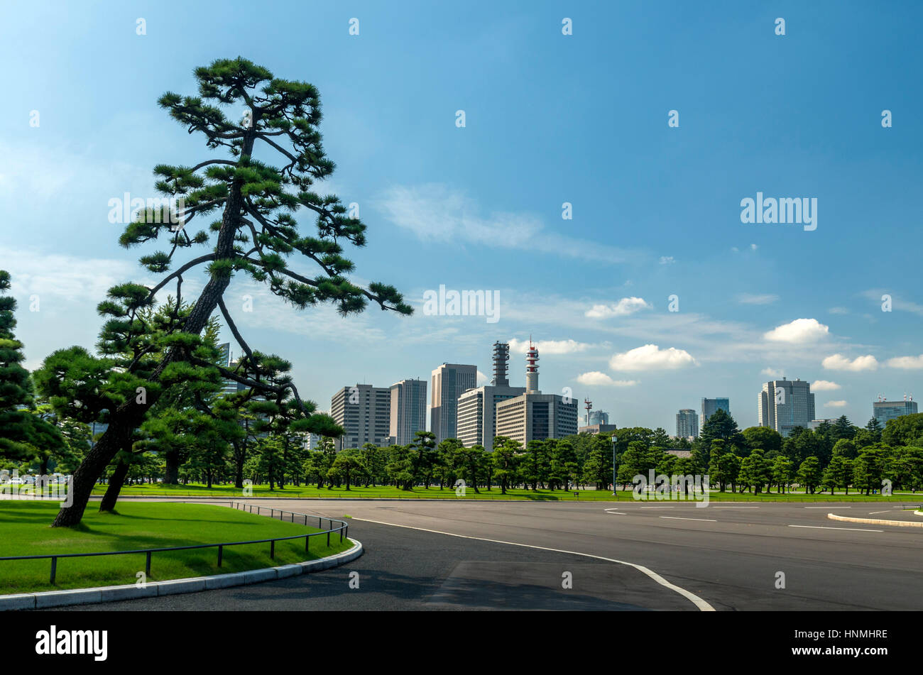 Public park at the Imperial Palace in Tokyo, Japan. Stock Photo