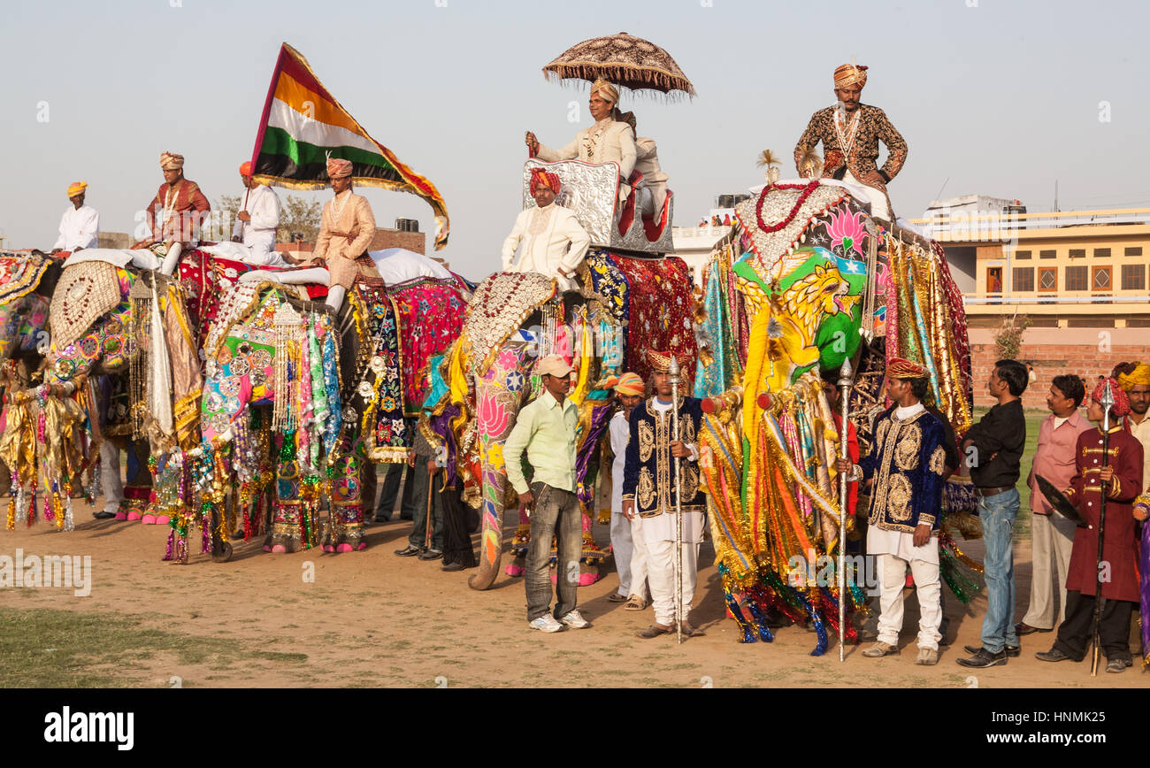 Tourists,folk music,dance Painted,decorated,elephants,At Holi,Spring,colour dye throwing Elephant,Festival,in Jaipur,Rajasthan,India,Indian,Asia. Stock Photo