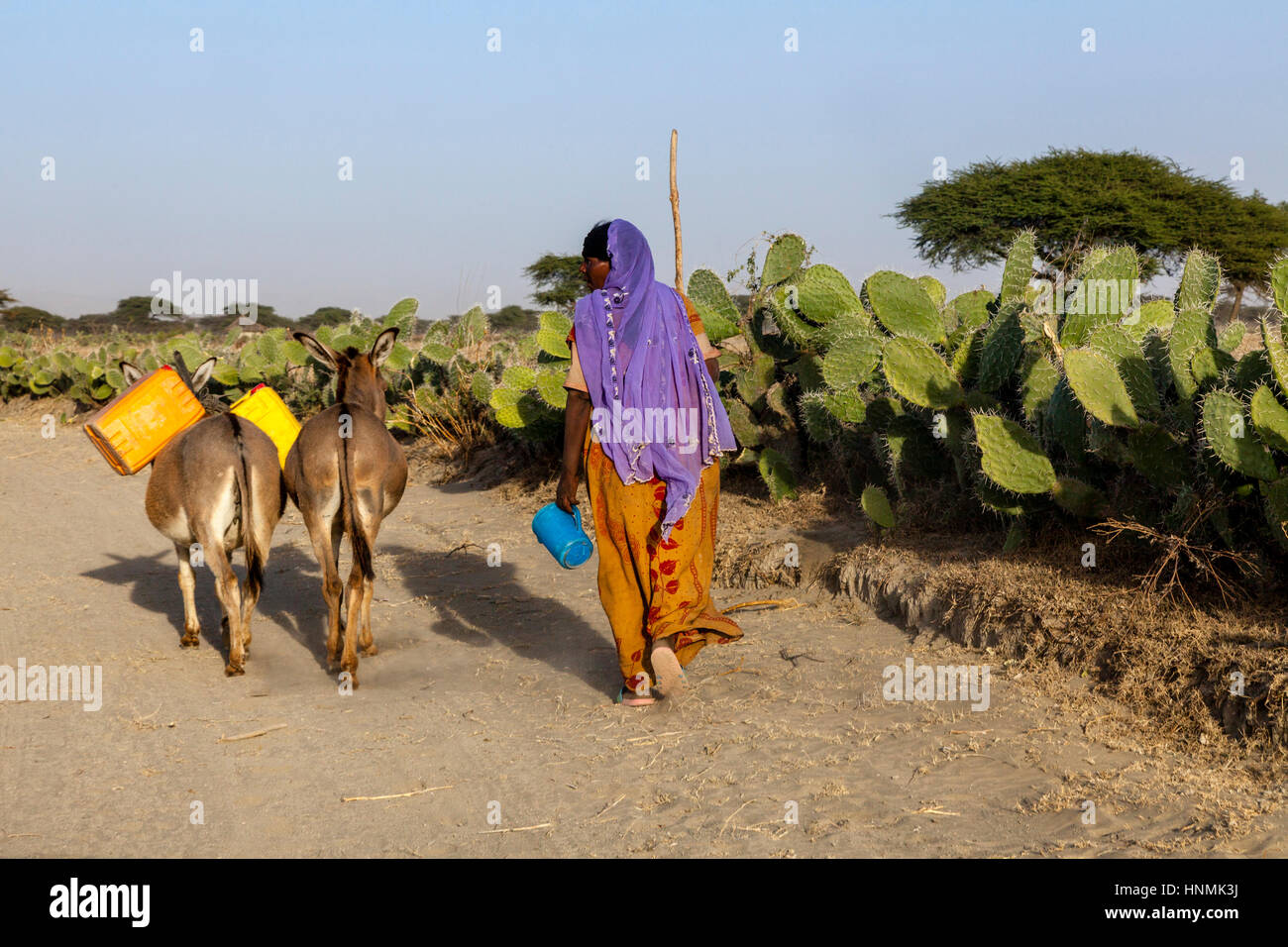 A Woman Travels Back To Her Home With Water That She Has Just Collected, Abijatta-Shalla National Park, Ethiopia Stock Photo