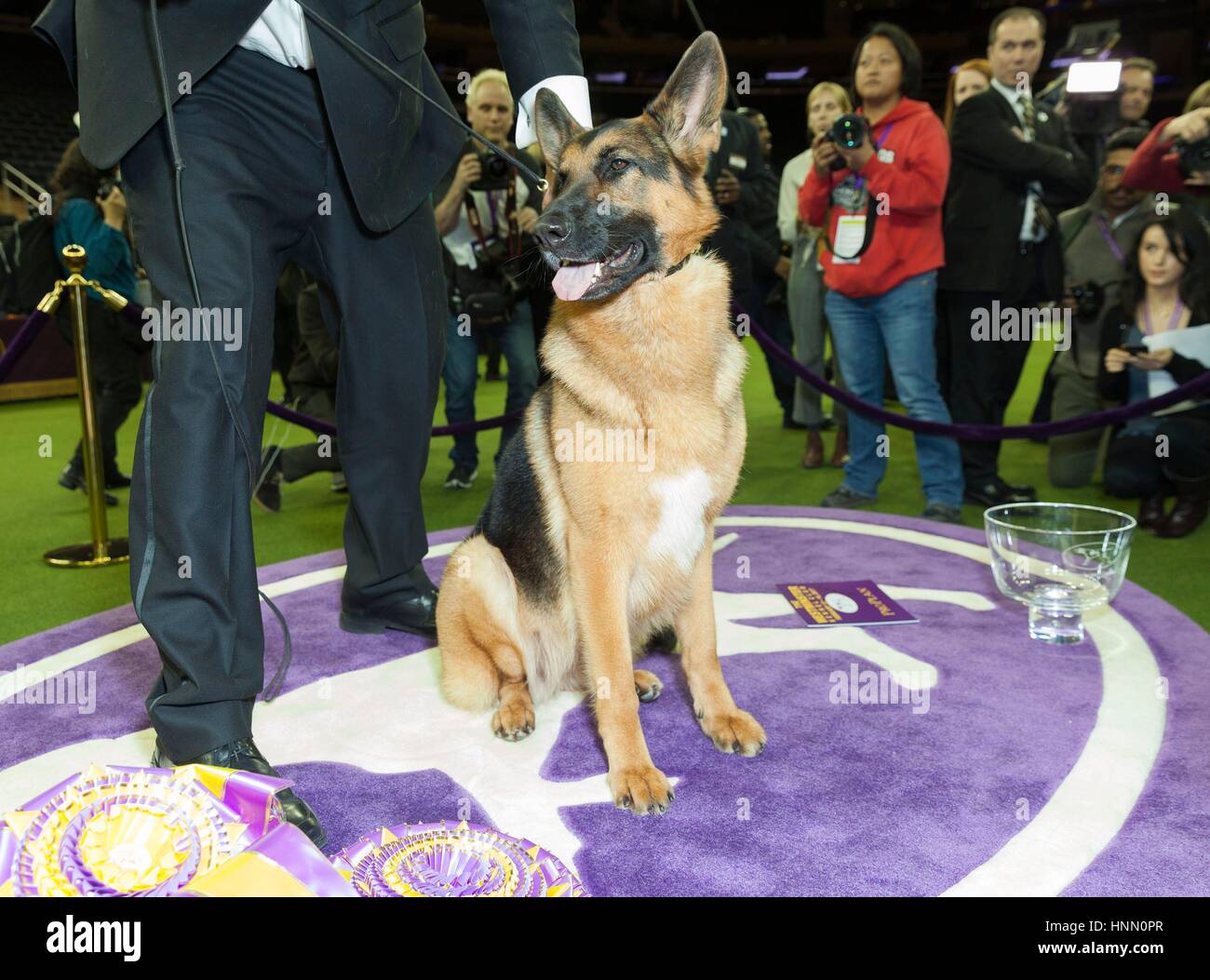 New York, NY, USA. 14th Feb, 2017. Rumor the German Shepherd and handler Kent Boyles in attendance for 141st Annual Westminster Kennel Club Dog Show Best In Show, Madison Square Garden, New York, NY February 14, 2017. Credit: Lev Radin/Everett Collection/Alamy Live News Stock Photo