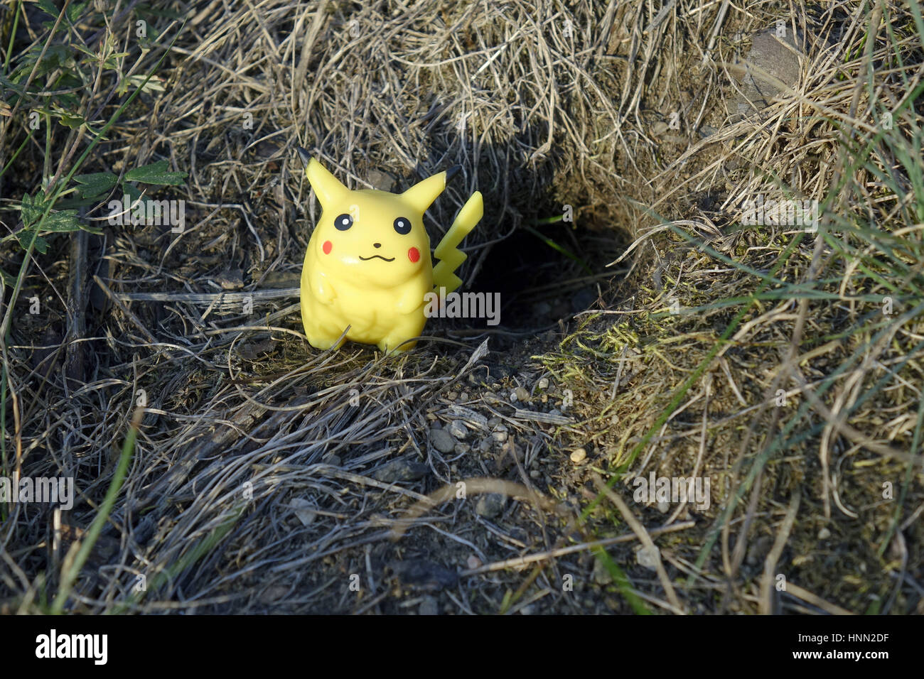 ILLUSTRATION - The Pokémon character Pikachu in front of a mouse-hole in a meadow. Taken 02.09.2016. Pokémon are fantasy creatures in the video game series of the same name. The games were originally developed by Satoshi Tajiri and the Japanese game software company GAME FREAK Inc. and represent one of the most important franchises of the Nintendo publishers. The Pokémon can be caught, collected and trained by players. The success of the game, which first came out in 1996, was followed by an anime TV series, a card game, a large range of merchandise and, since 1998, 18 films so far. The Pokémo Stock Photo