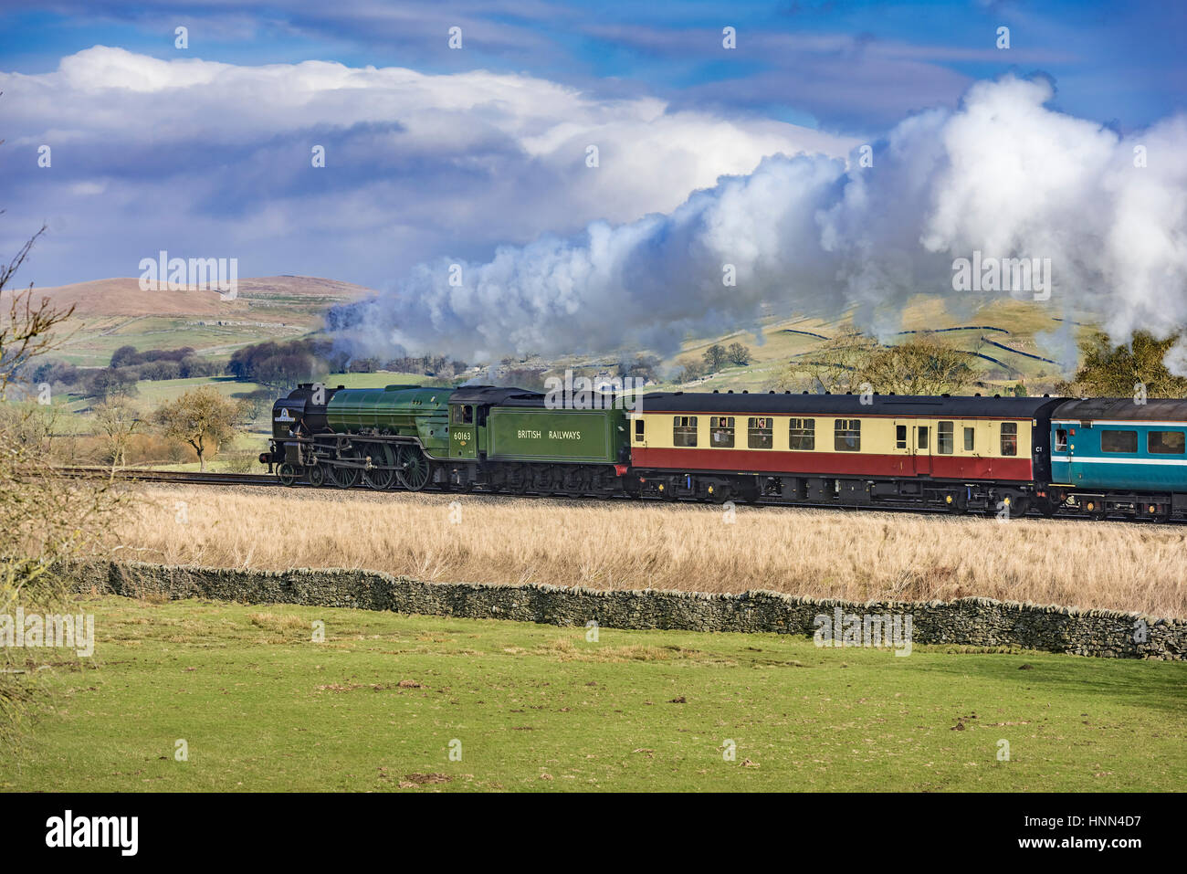 Helwith Bridge. North Yorkshire. North West England. Wednesday 15th February 2017. The Peppercorn steam engine Tornado on the secnond day of hauling scheduled trains between Skipton and Appleby on the Settle to Carlisle railway. The services are the first schedueld steam hauled services on British rail for 50 years. Picture by Martin Birchall. Stock Photo