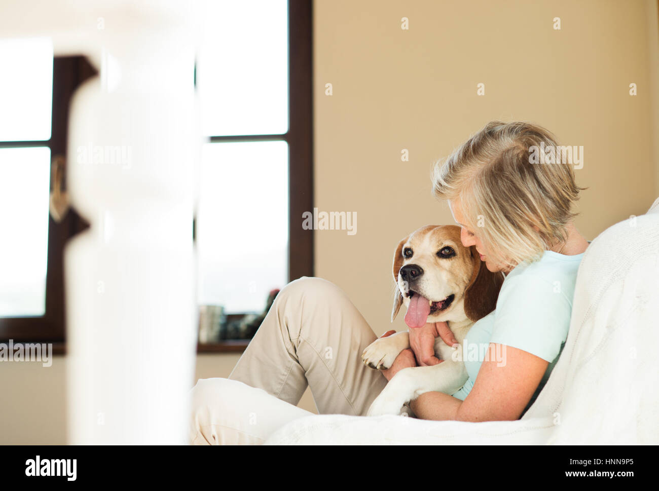 Senior woman with her dog at home relaxing Stock Photo - Alamy