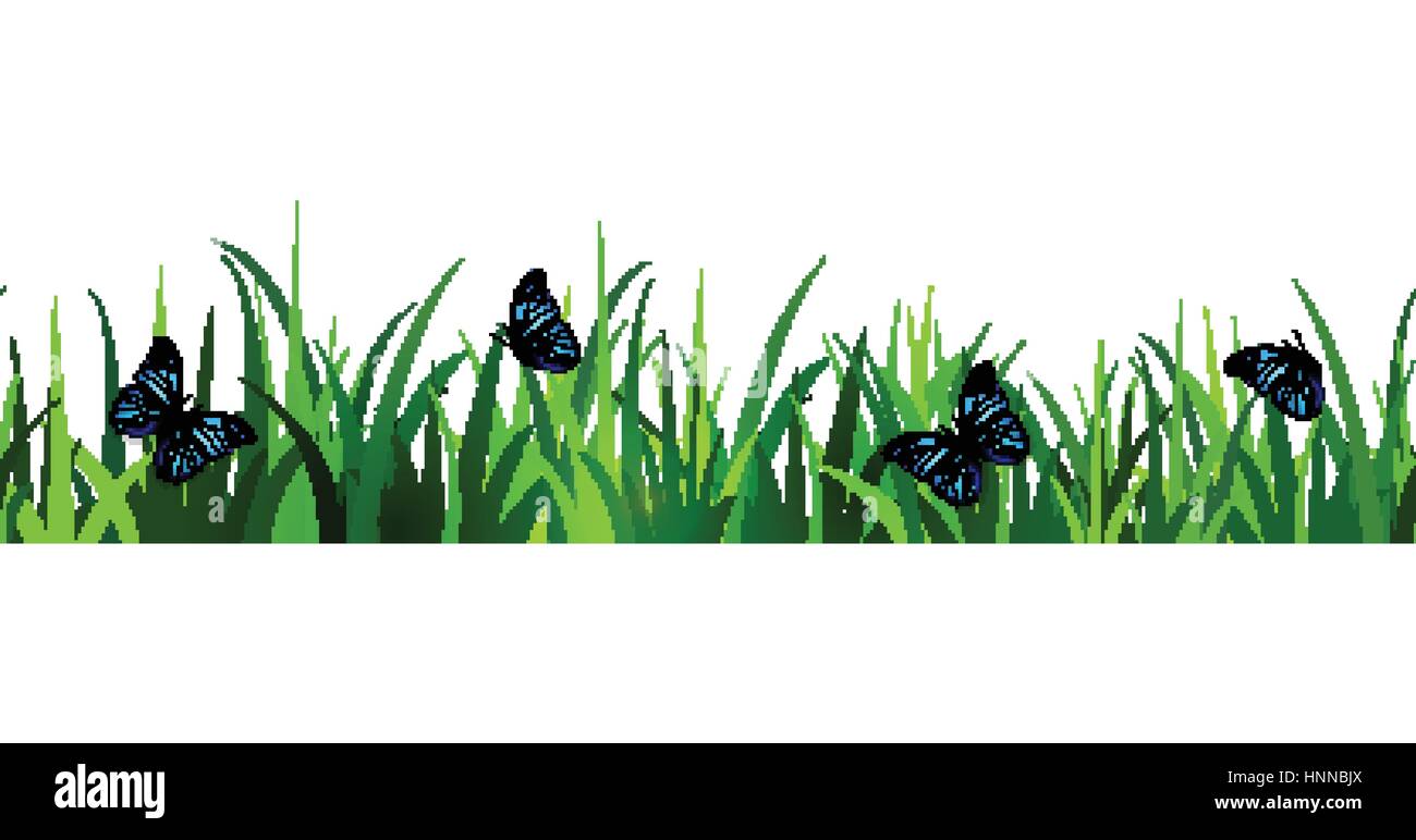Green Grass seamless Stock Vector Image & Art - Alamy