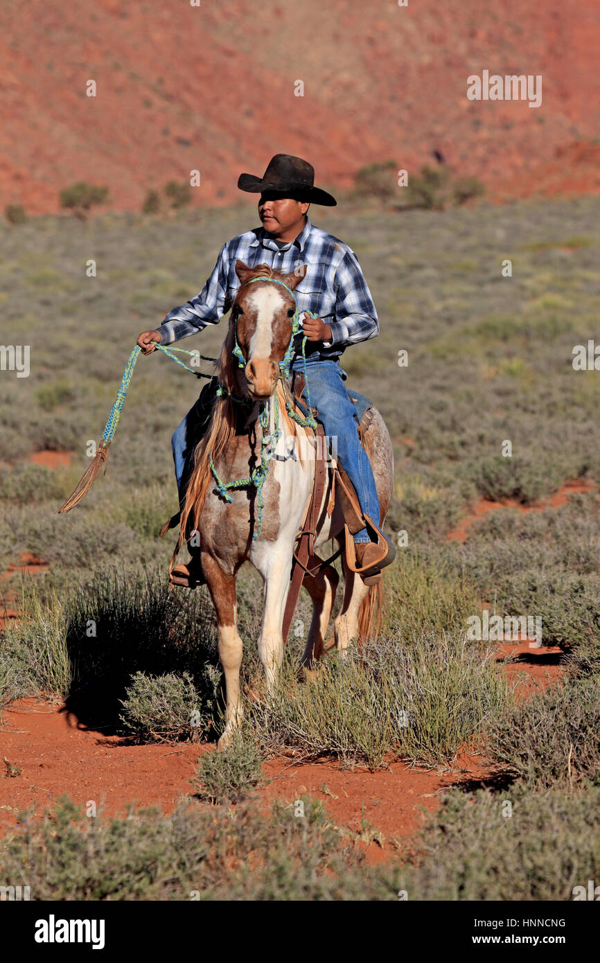 Navajo Cowboy, Mustang, (Equus caballus), Monument Valley, Utah, USA, Northamerica, Cowboy riding on Mustang Stock Photo