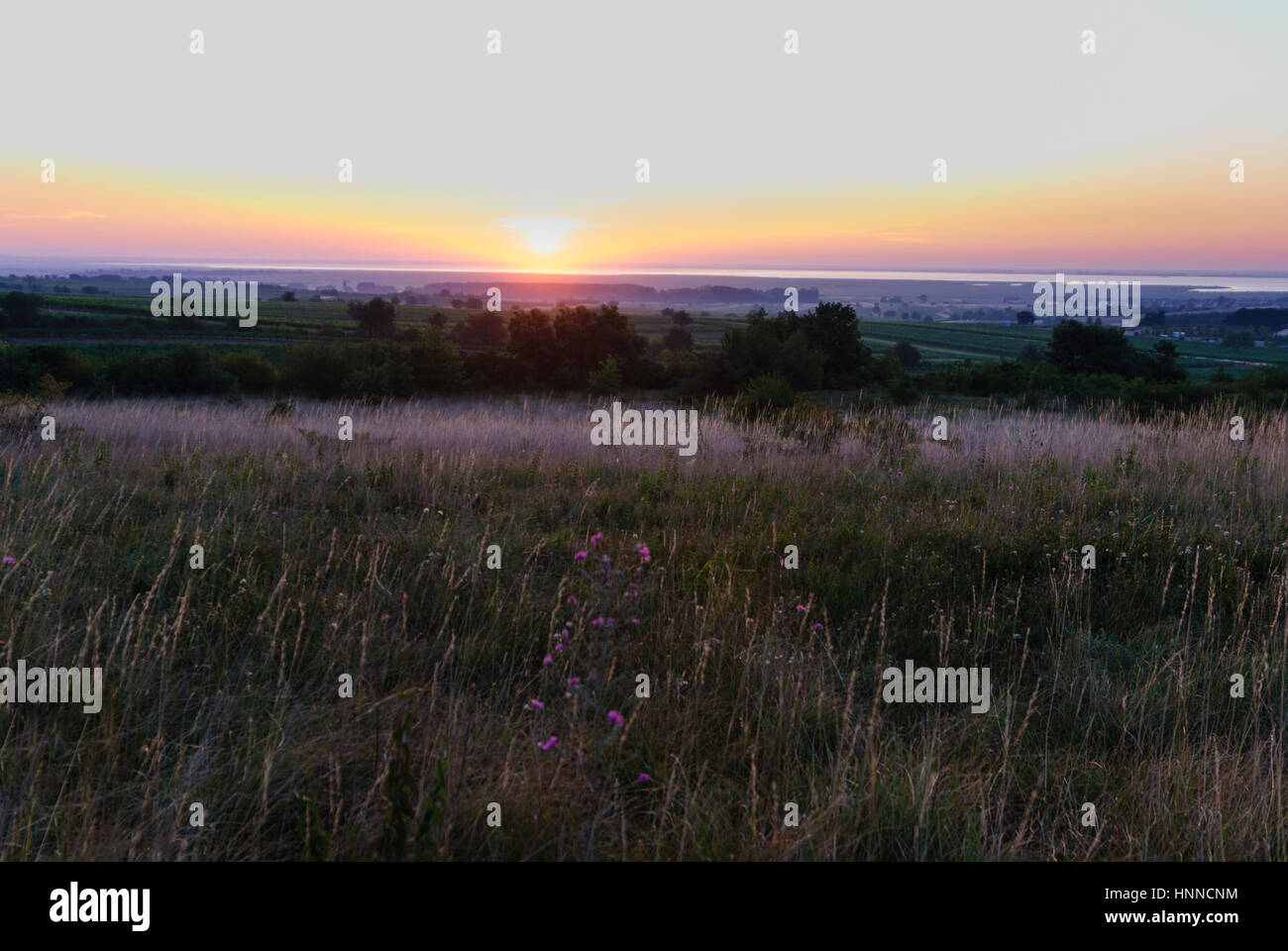 View of rust and lake neusiedl hires stock photography and images Alamy