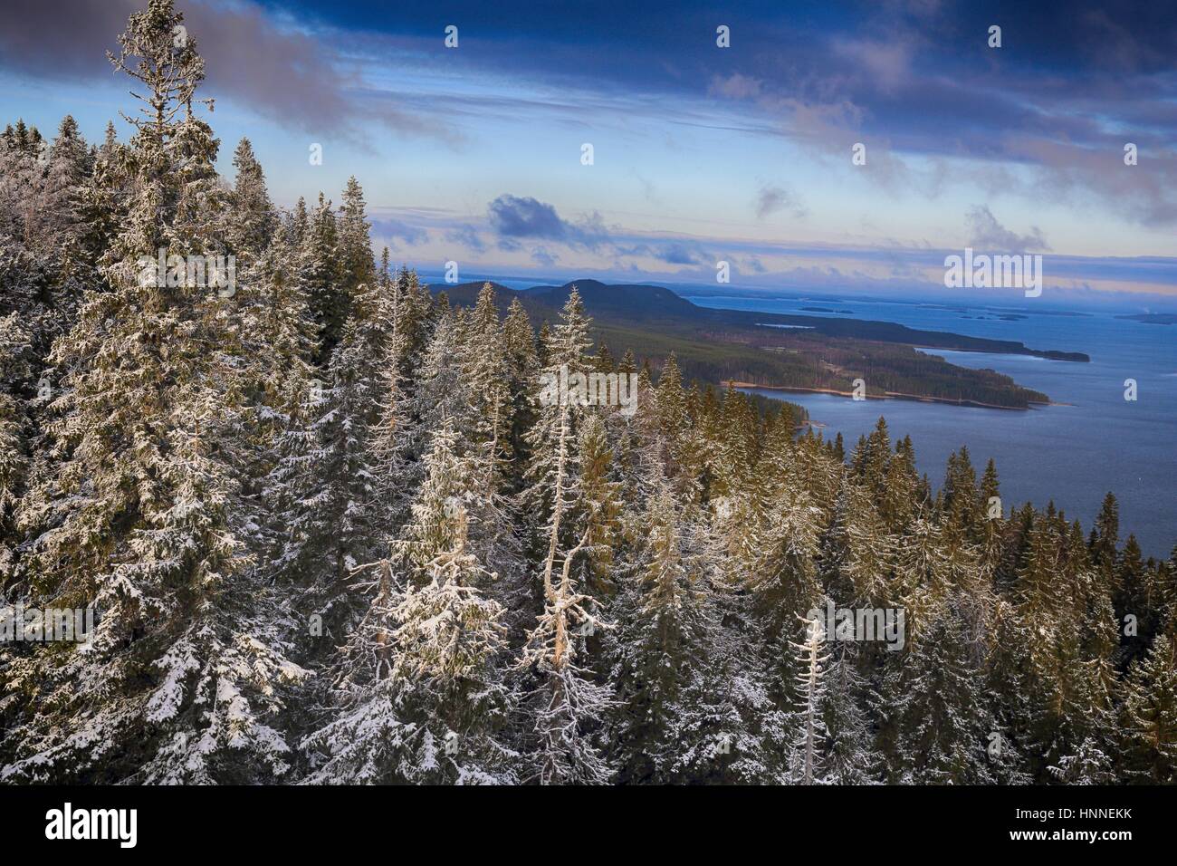 scenery-from-koli-national-park-kolin-kansallispuisto-in-finland