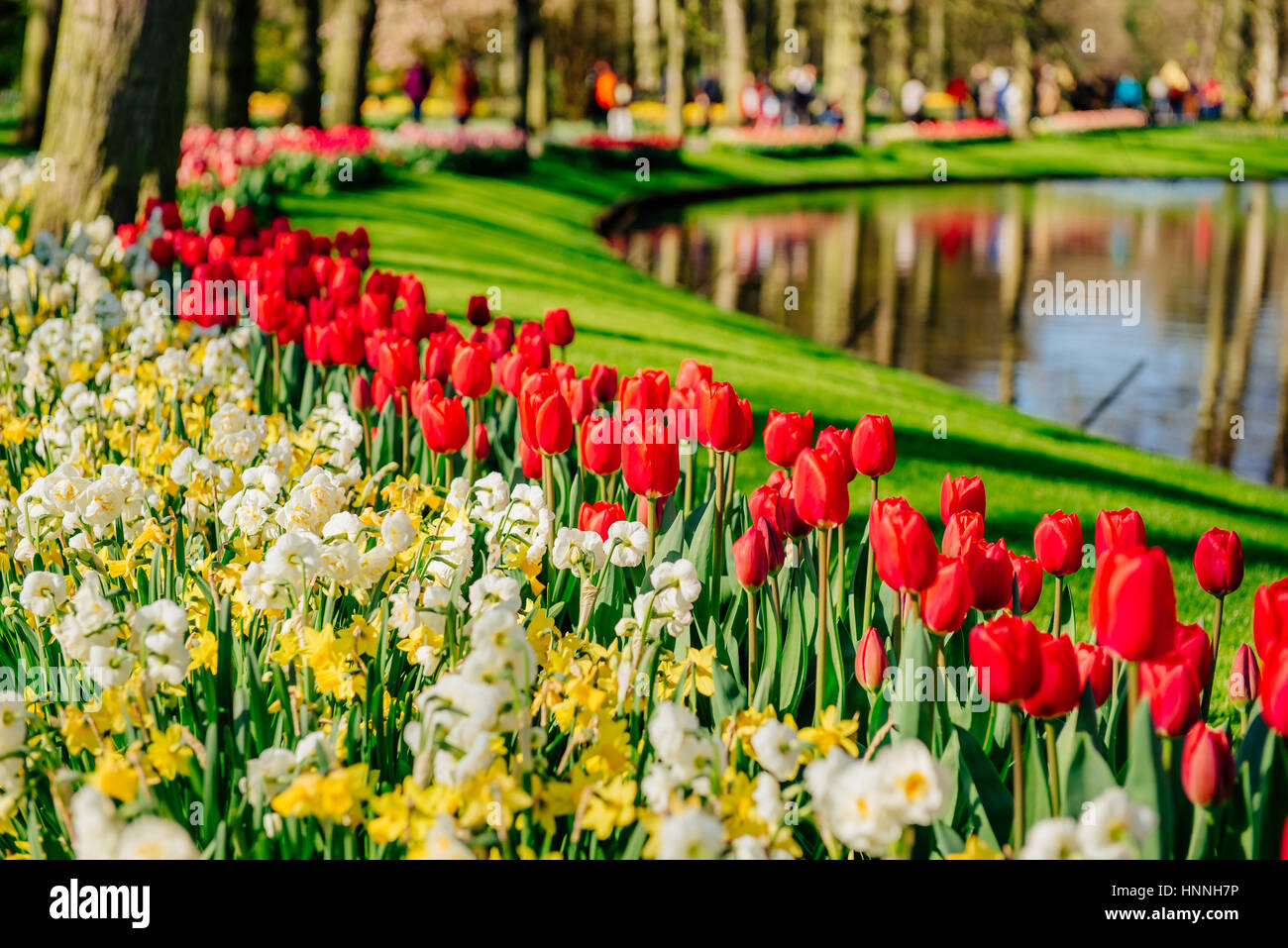 lovely spring landscape park. Blooming flowers. Holland Stock Photo - Alamy