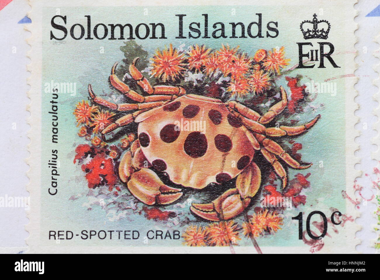 Stamps from the Solomon Islands red spotted crab Stock Photo
