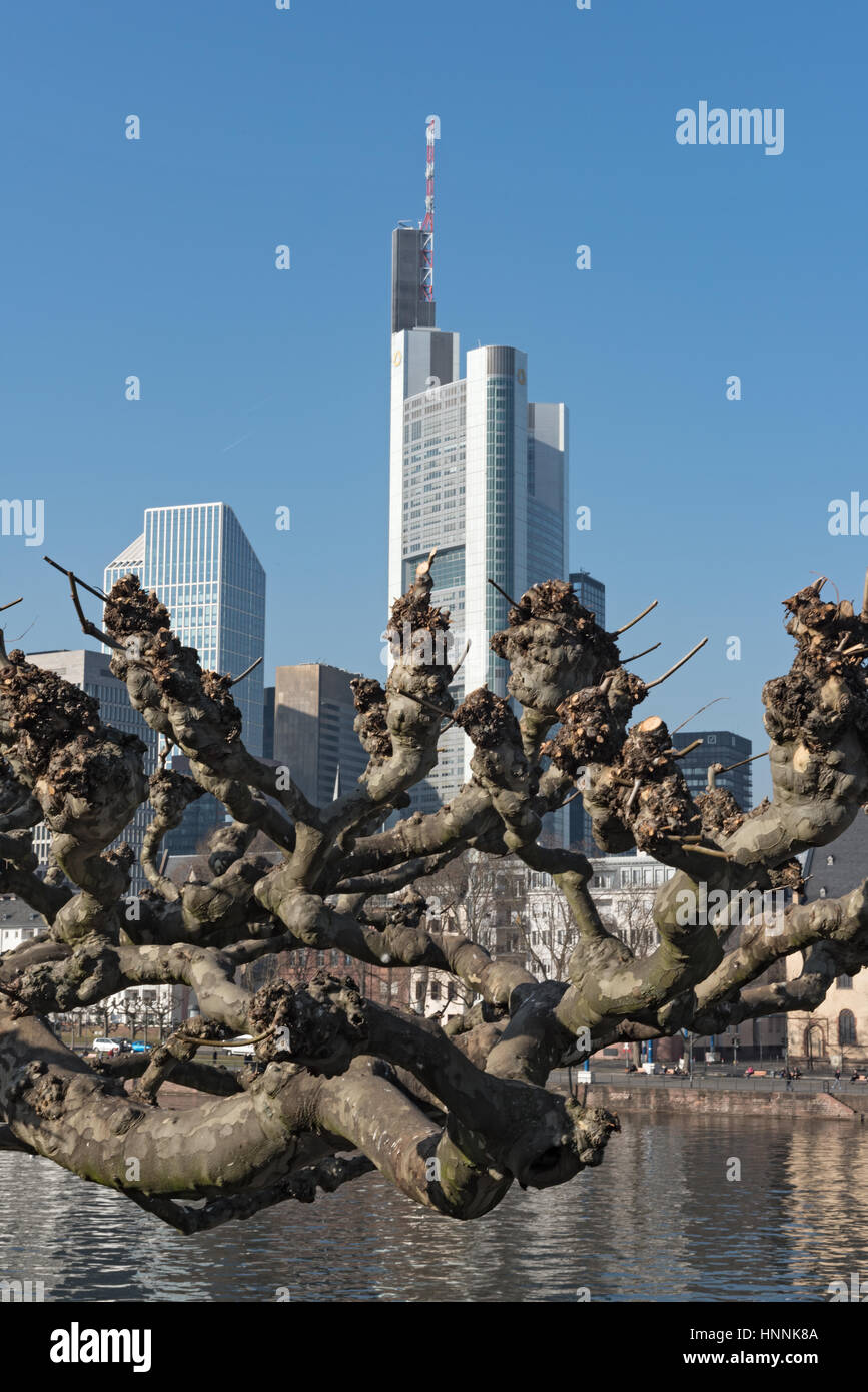 Branch of a Platanus in front of the Frankfurt skyline Stock Photo