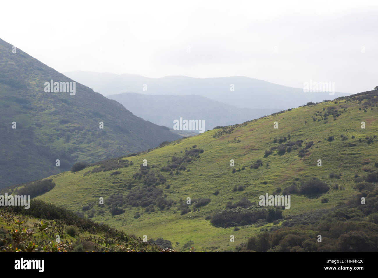 Rolling hills on Catalina Island Stock Photo