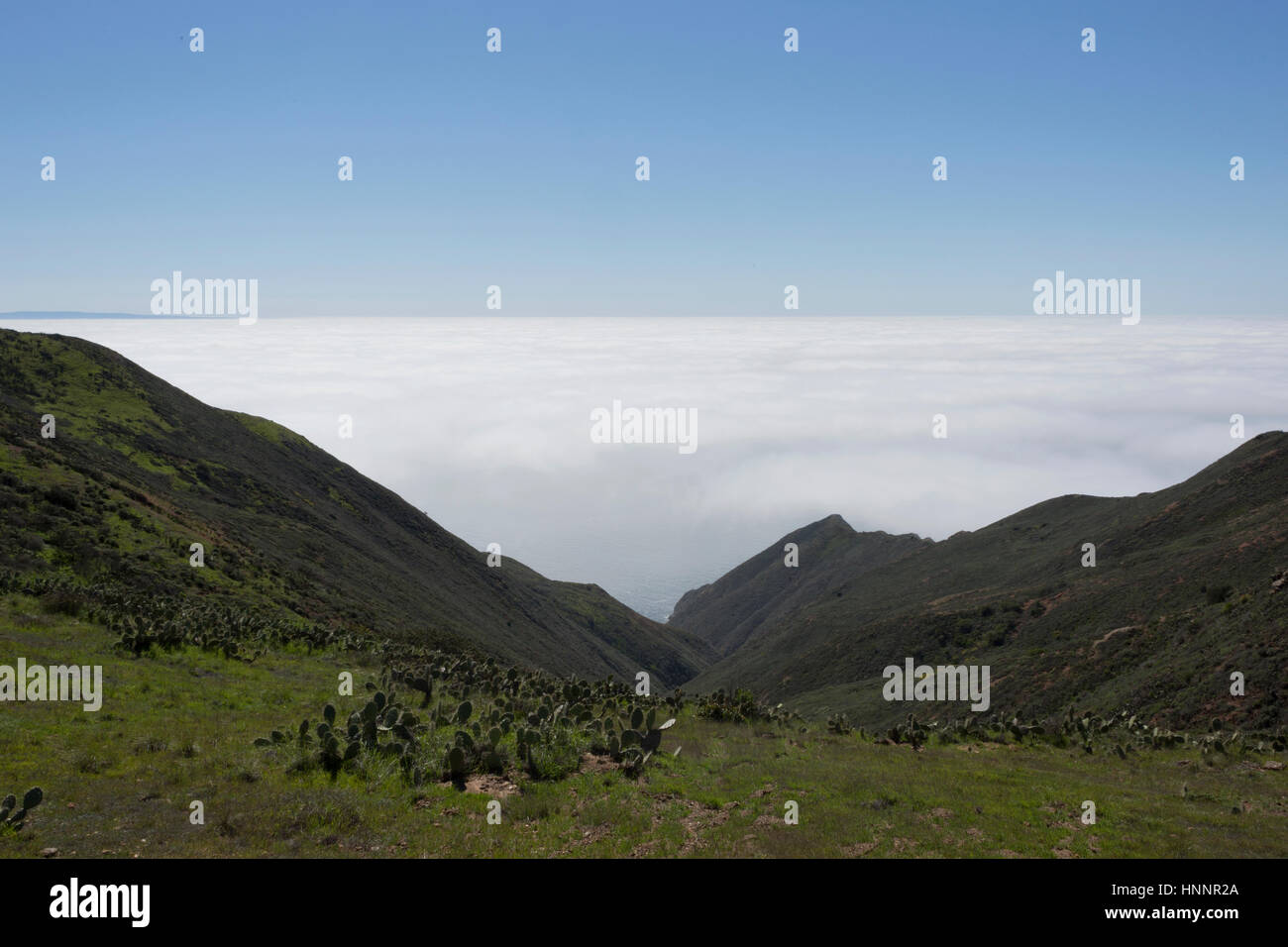 Above the cloud at Two Harbors, Catalina Island Stock Photo