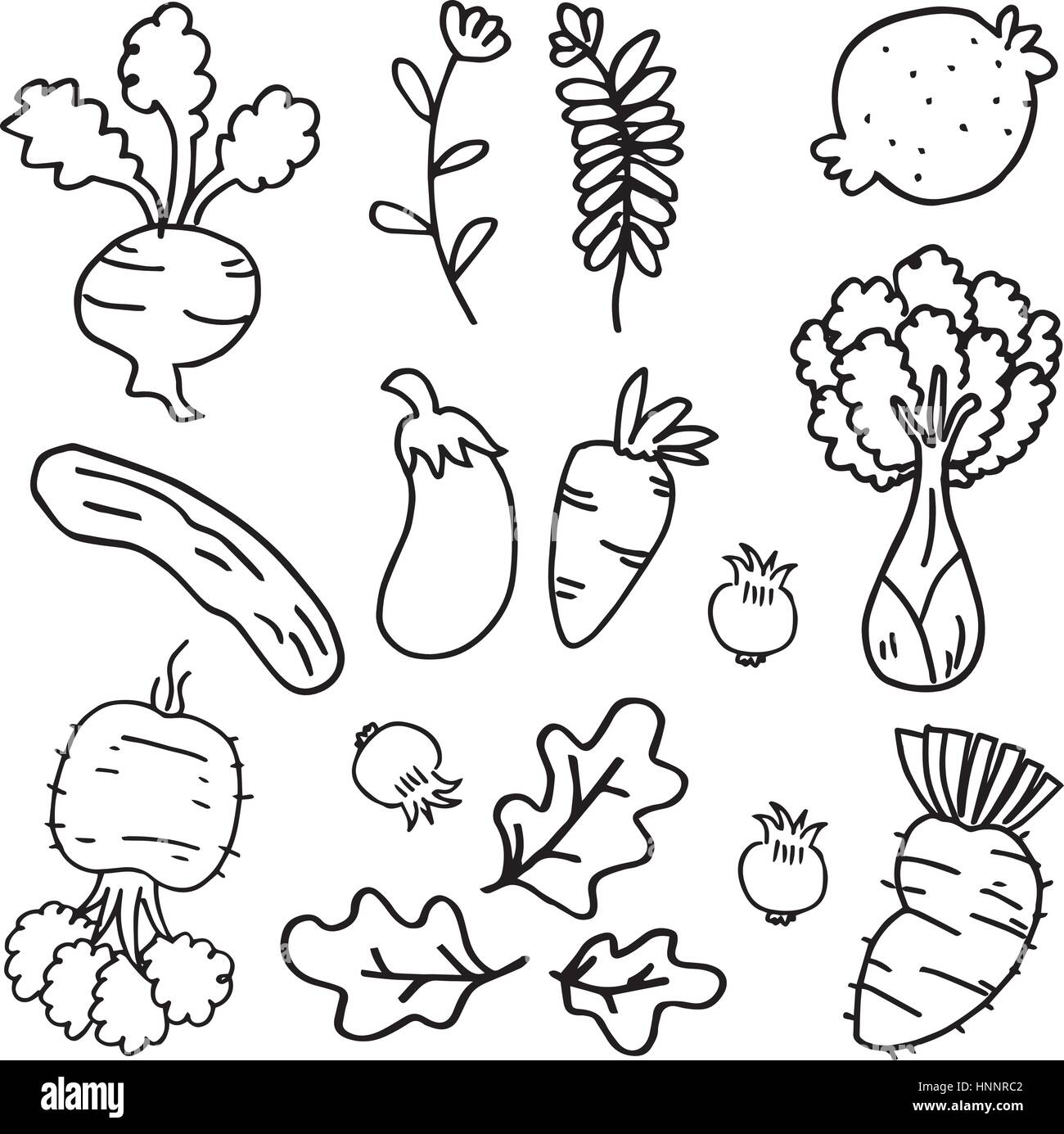 Doodle of vegetable various vector hand draw Stock Vector Image & Art