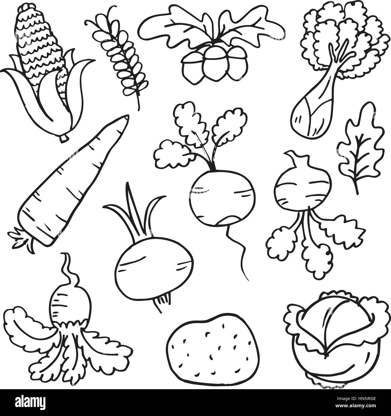 Doodle of vegetable on white background vector art Stock Vector Image