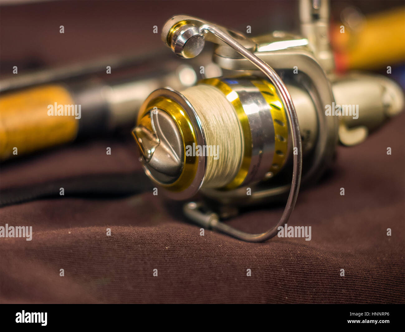 The beautiful gold fishing rod and reel closeup Stock Photo